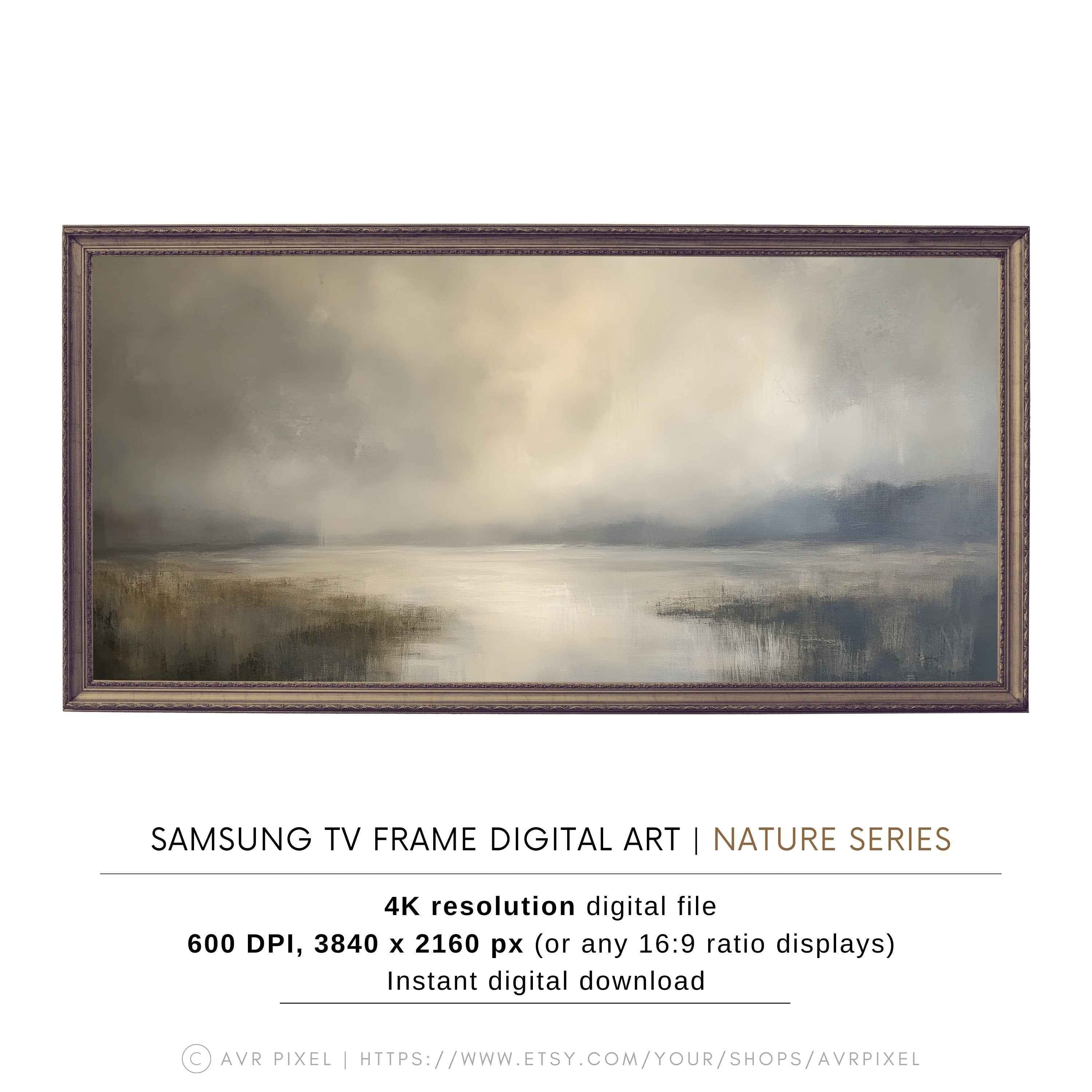 Digital TV Wall Art - Abstract Minimalist Frame Screensaver for Smart TVs - Modern Living Room Decor| TVS11